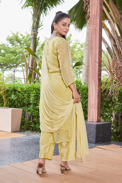 2817(KURTA SET)